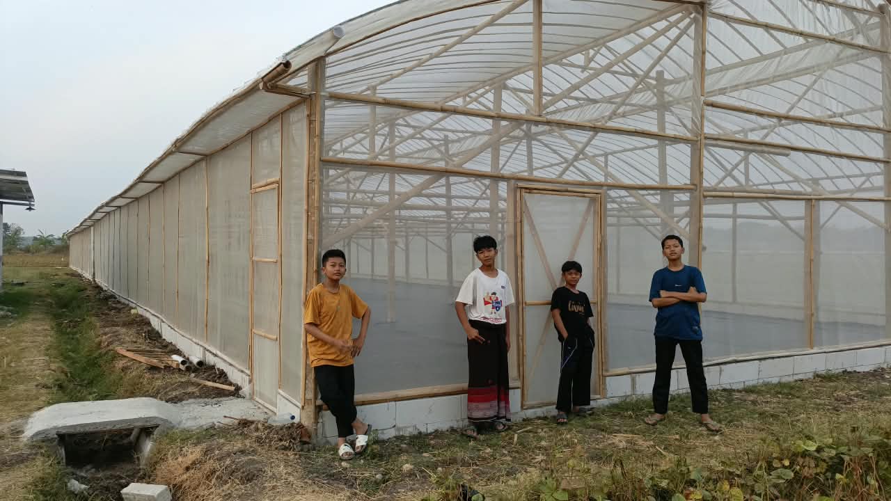 Menanam Kemandirian: Inovasi Green House Kebun Melon