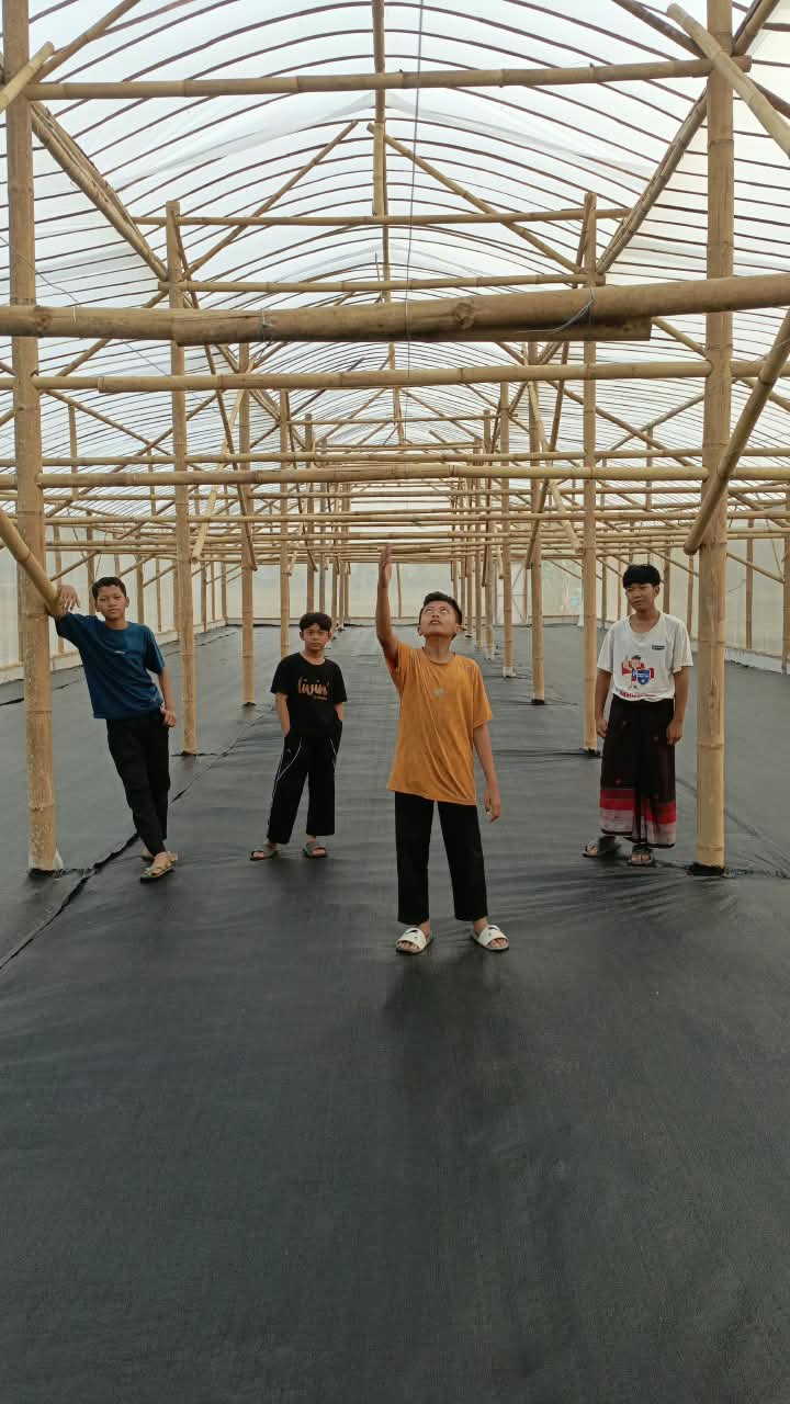 Menanam Kemandirian: Inovasi Green House Kebun Melon